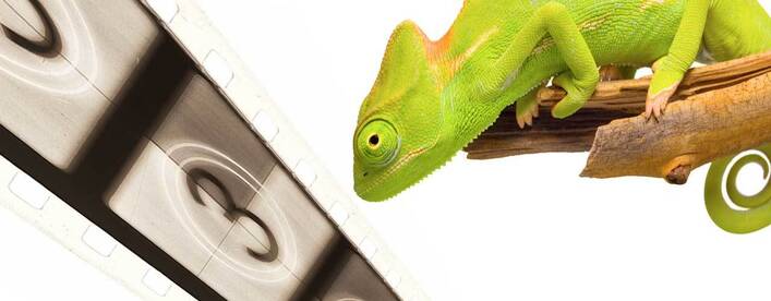 (Video) Adaptive Metadata for Digital Asset Management